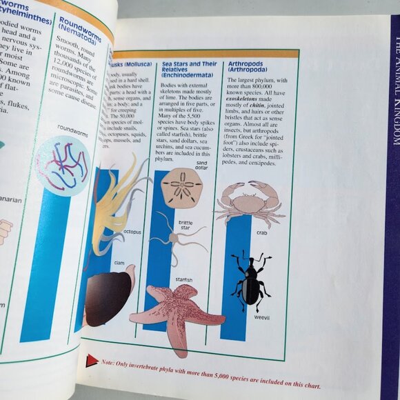Everything You Need To Know About Science Homework Paperback Book School Supplie - Picture 16 of 16